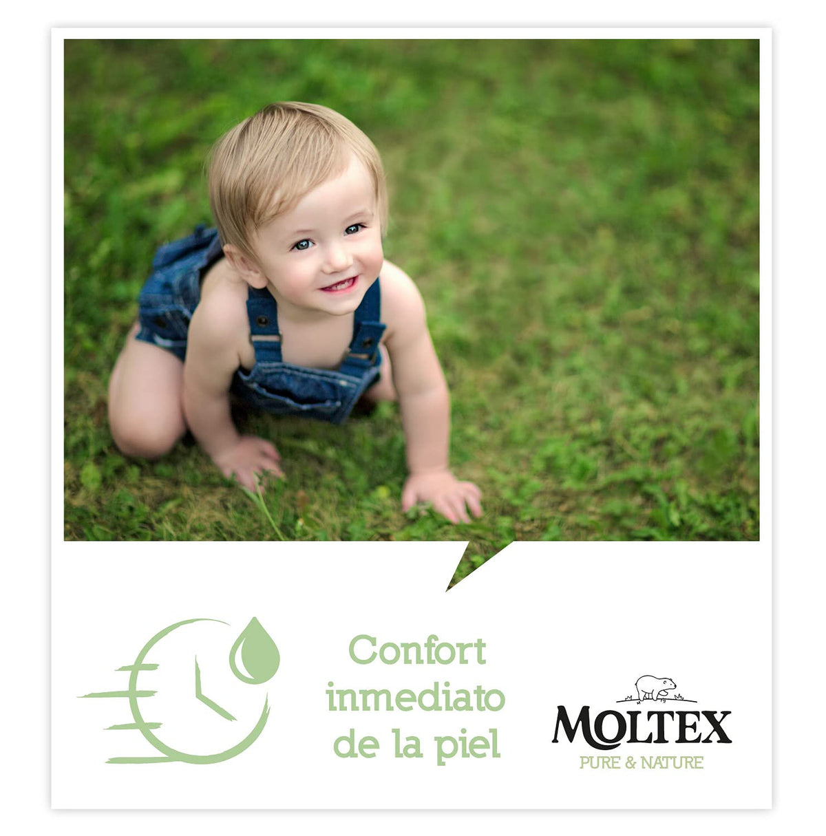 Moltex Pure & Nature – Produktdetail PT02